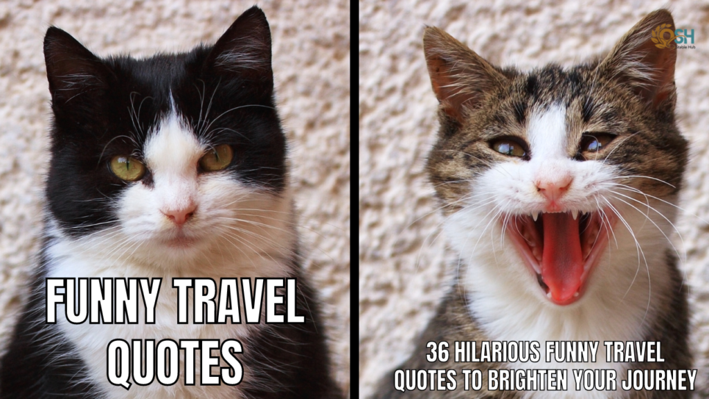 Funny Travel Quotes