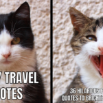 Funny Travel Quotes