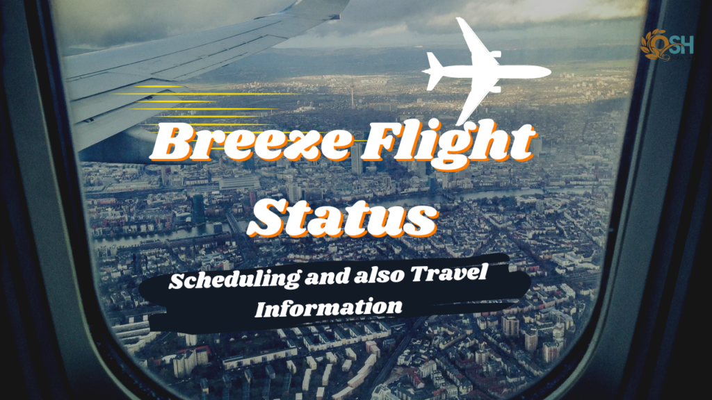 Breeze Flight Status